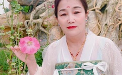 麻豆爽爽妓女国产99RE小说